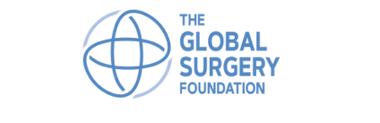 The Global Surgery Foundation