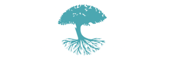 SamanTree Medical (Switzerland) SA