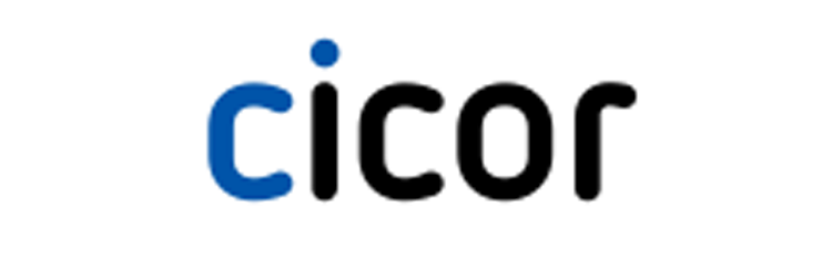 Cicor Technologies Ltd.