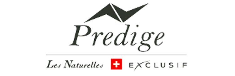 Predige S.A.
