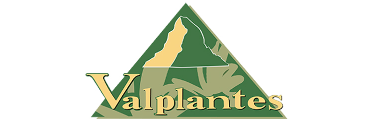 Valplantes Société Coopérative des Plantes Médicinales et Aromatiques du Valais