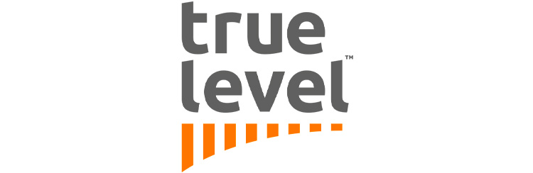 Intellect Design Arena SA