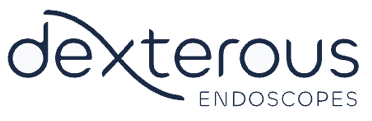 Dexterous Endoscopes