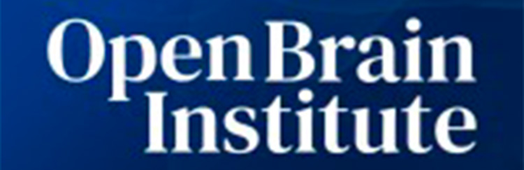 Open Brain Institute