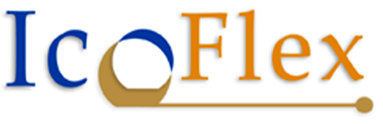IcoFlex Sàrl