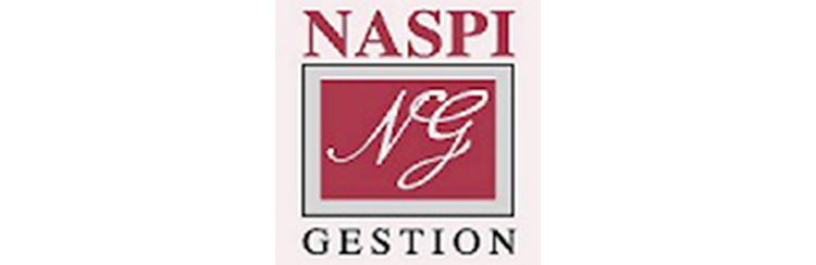 Naspi Gestion SA