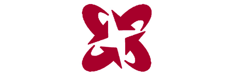 Synergies Consult Sàrl