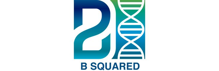 B SQUARED Sàrl