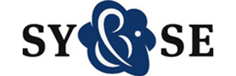 Sy&Se SA